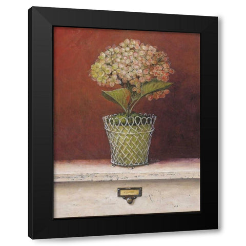 Hydrangea Study Black Modern Wood Framed Art Print by Fisk, Arnie