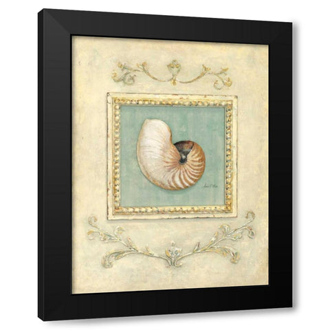 Classic Seashell Detail Black Modern Wood Framed Art Print by Fisk, Arnie