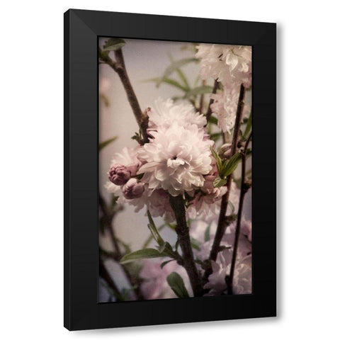 Blossoming Almond 2 Black Modern Wood Framed Art Print by Greenwood, Julie