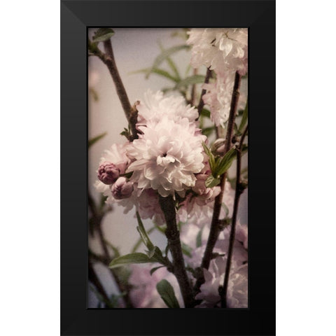 Blossoming Almond 2 Black Modern Wood Framed Art Print by Greenwood, Julie