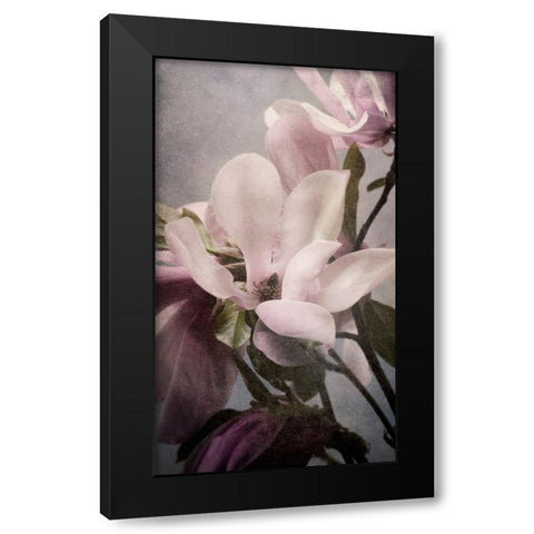 Magnolia Memories 1 Black Modern Wood Framed Art Print by Greenwood, Julie