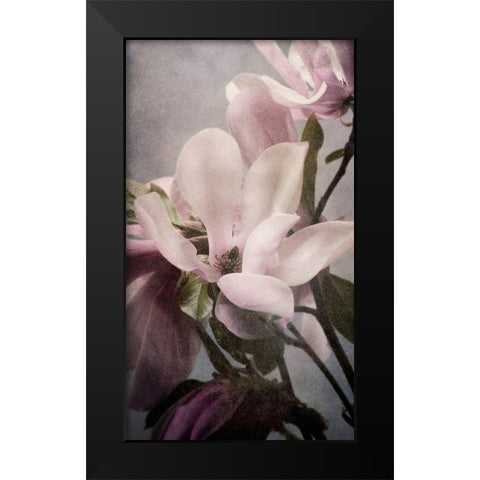 Magnolia Memories 1 Black Modern Wood Framed Art Print by Greenwood, Julie