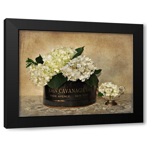 Park Avenue Hydrangea Black Modern Wood Framed Art Print with Double Matting by Atria, Cristin