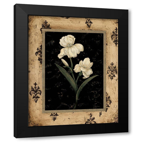 Silver Iris Black Modern Wood Framed Art Print with Double Matting by Andrew, Regina