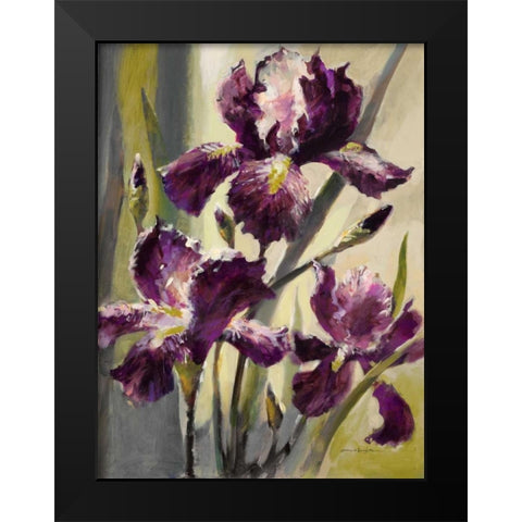 Ambient Iris 3 Black Modern Wood Framed Art Print by Heighton, Brent