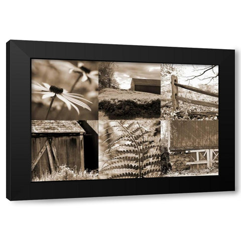 Roadside Beauty Black Modern Wood Framed Art Print by Amber Light Gallery