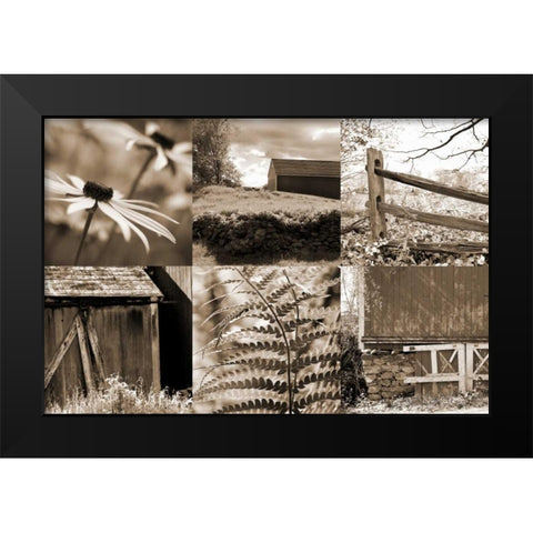 Roadside Beauty Black Modern Wood Framed Art Print by Amber Light Gallery