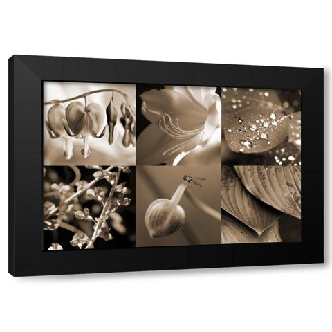 Garden Path Black Modern Wood Framed Art Print by Amber Light Gallery