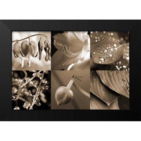 Garden Path Black Modern Wood Framed Art Print by Amber Light Gallery