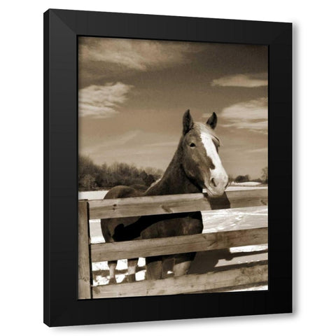 At the Ranch Black Modern Wood Framed Art Print with Double Matting by Amber Light Gallery