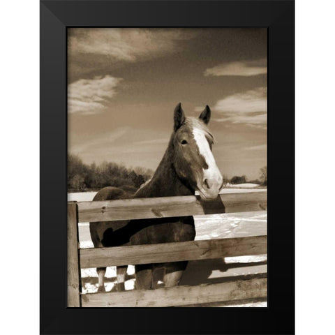 At the Ranch Black Modern Wood Framed Art Print by Amber Light Gallery
