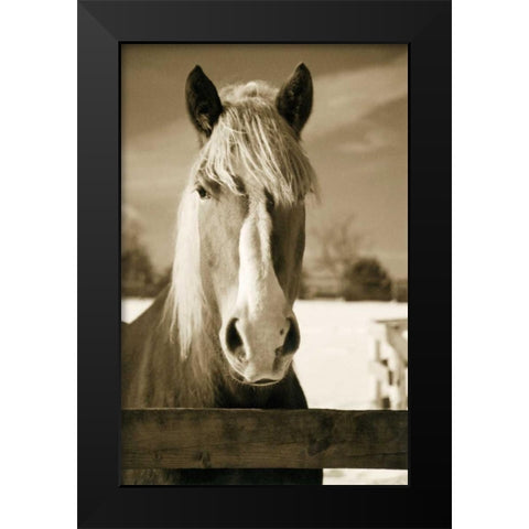 At the Correl Black Modern Wood Framed Art Print by Amber Light Gallery