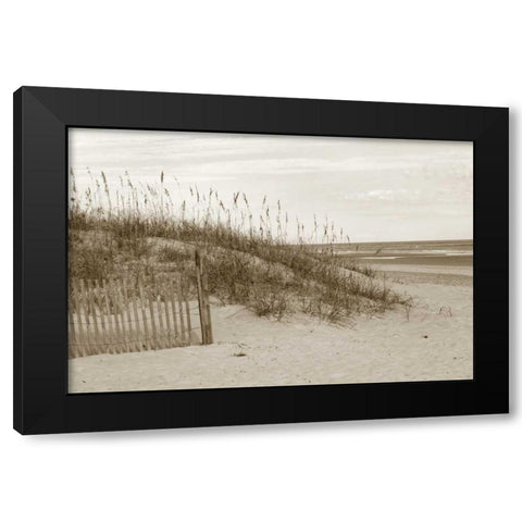 In the Dunes 1 Black Modern Wood Framed Art Print with Double Matting by Amber Light Gallery