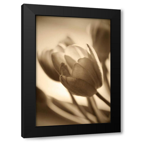 Illuminated Tulips 2 Black Modern Wood Framed Art Print with Double Matting by Amber Light Gallery