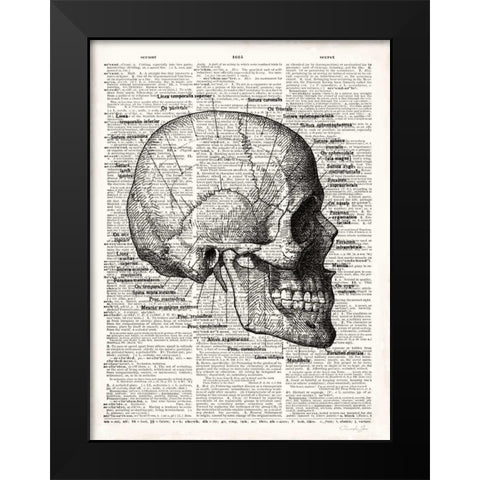 Vintage Anatomy Skull Black Modern Wood Framed Art Print by James, Christopher