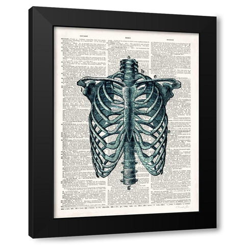 Vintage Anatomy Study Black Modern Wood Framed Art Print with Double Matting by James, Christopher
