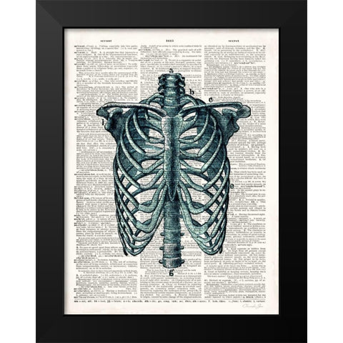 Vintage Anatomy Study Black Modern Wood Framed Art Print by James, Christopher