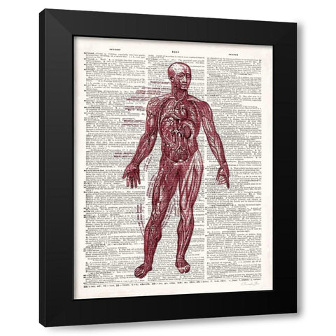 Vintage Anatomy Book  Black Modern Wood Framed Art Print with Double Matting by James, Christopher