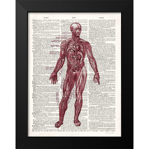 Vintage Anatomy Book  Black Modern Wood Framed Art Print by James, Christopher