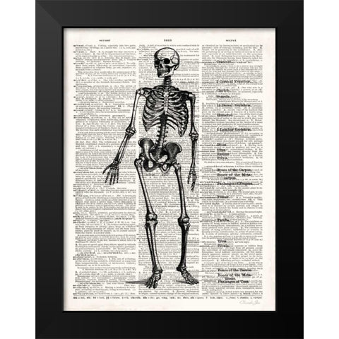 Vintage Anatomy Skeleton  Black Modern Wood Framed Art Print by James, Christopher