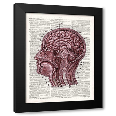 Vintage Anatomy Brain Black Modern Wood Framed Art Print by James, Christopher