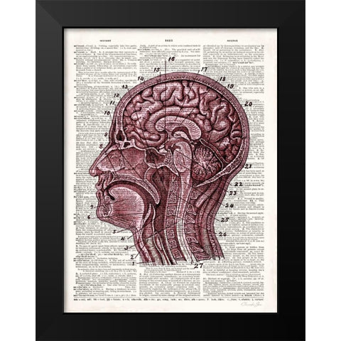 Vintage Anatomy Brain Black Modern Wood Framed Art Print by James, Christopher