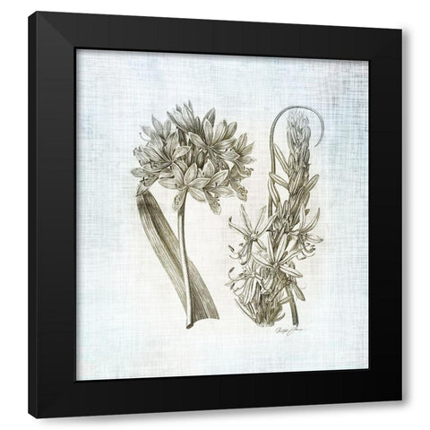 Farmhouse Botanical 1 Black Modern Wood Framed Art Print with Double Matting by James, Christopher