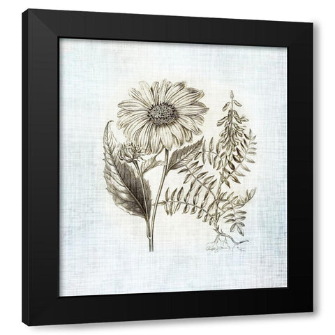 Farmhouse Botanical 3 Black Modern Wood Framed Art Print by James, Christopher