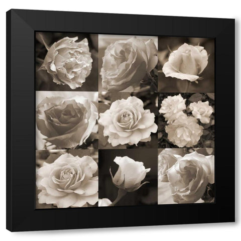 Rose Collection Black Modern Wood Framed Art Print by Semenza, Marlana