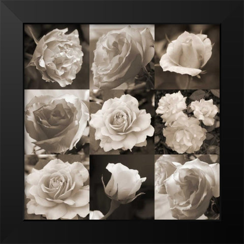 Rose Collection Black Modern Wood Framed Art Print by Semenza, Marlana