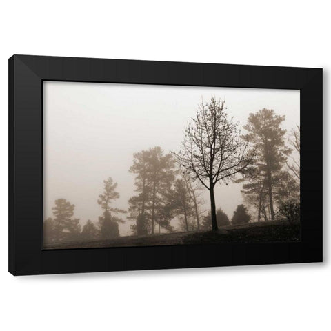 Evening Mist 2 Black Modern Wood Framed Art Print by Sememza, Marlana