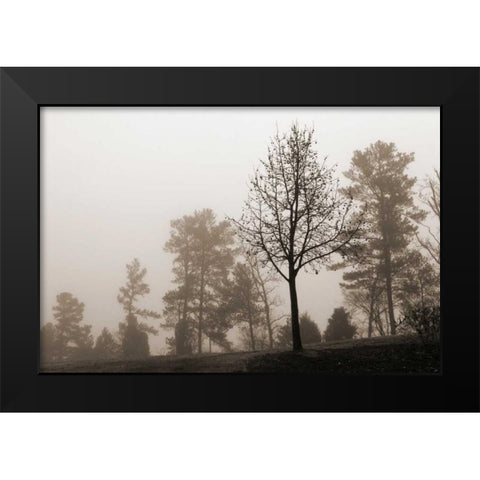 Evening Mist 2 Black Modern Wood Framed Art Print by Sememza, Marlana