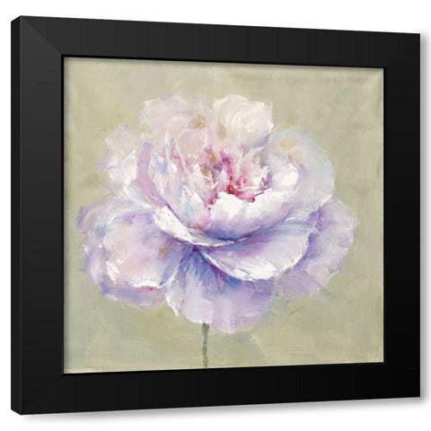 Soft Petals Black Modern Wood Framed Art Print with Double Matting by Andy