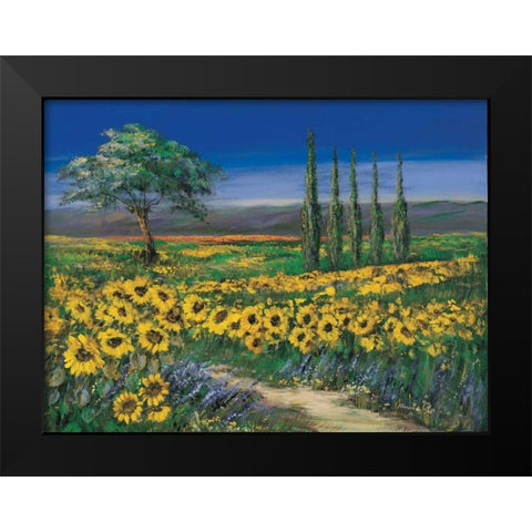 Field of sunflowers Black Modern Wood Framed Art Print by Paleta, Anna