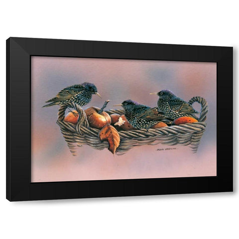 Family birds Black Modern Wood Framed Art Print by Weenink, Ruud
