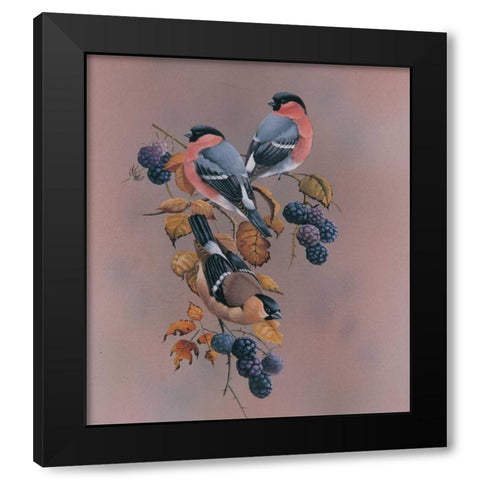 Resting Black Modern Wood Framed Art Print by Weenink, Ruud