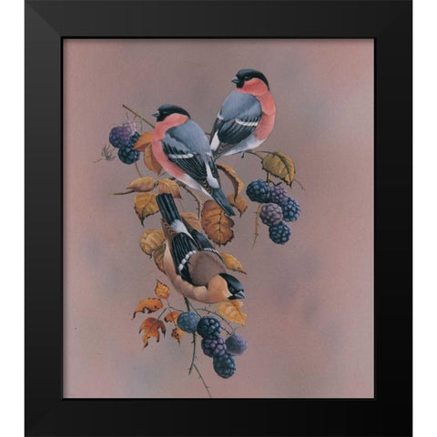 Resting Black Modern Wood Framed Art Print by Weenink, Ruud