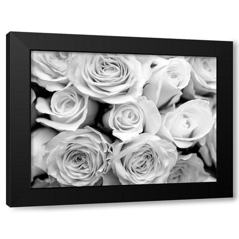 Bunch of roses Black Modern Wood Framed Art Print by Frank, Assaf