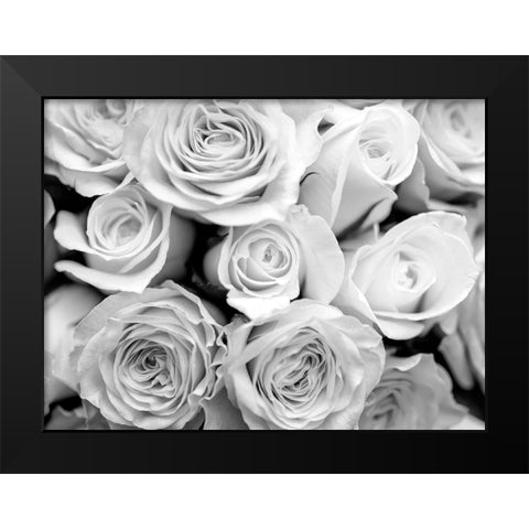 Bunch of roses Black Modern Wood Framed Art Print by Frank, Assaf