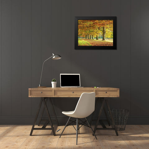 Row of trees in autumn Black Modern Wood Framed Art Print by Frank, Assaf