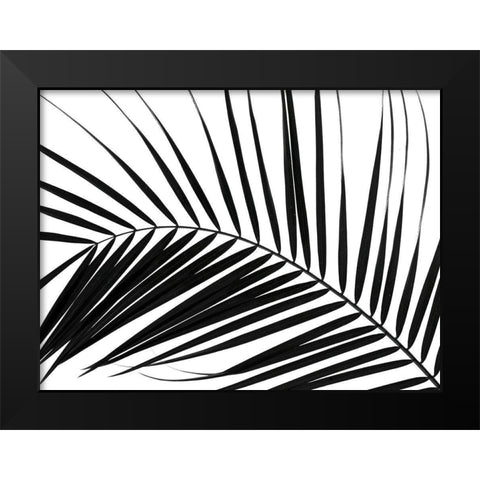 Palm tree leaf on white background Black Modern Wood Framed Art Print by Frank, Assaf
