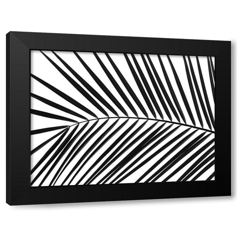 Palm tree leaf Black Modern Wood Framed Art Print by Frank, Assaf