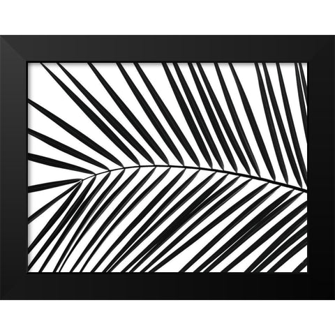 Palm tree leaf Black Modern Wood Framed Art Print by Frank, Assaf