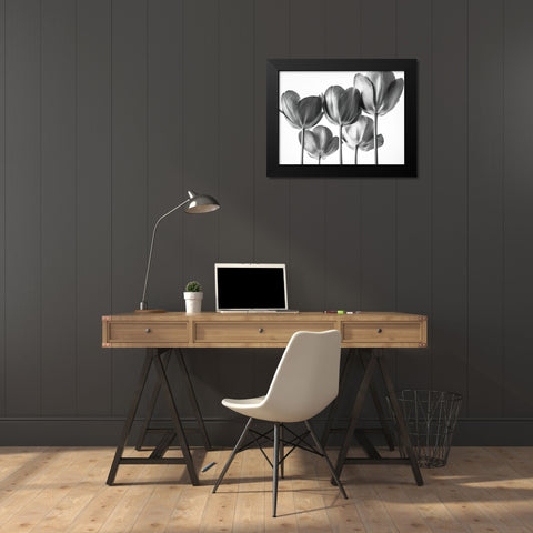 Red Tulips Black Modern Wood Framed Art Print by Frank, Assaf