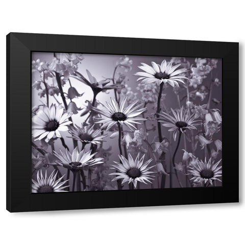 Meadow flowers Black Modern Wood Framed Art Print by Frank, Assaf