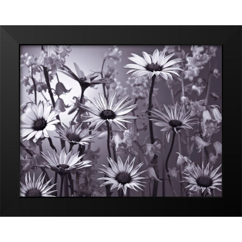 Meadow flowers Black Modern Wood Framed Art Print by Frank, Assaf