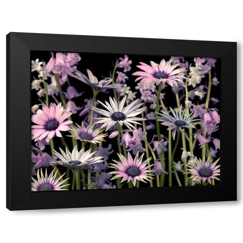 Meadow flowers Black Modern Wood Framed Art Print by Frank, Assaf