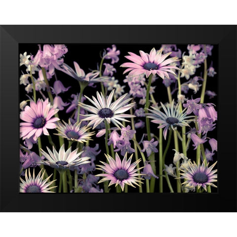 Meadow flowers Black Modern Wood Framed Art Print by Frank, Assaf