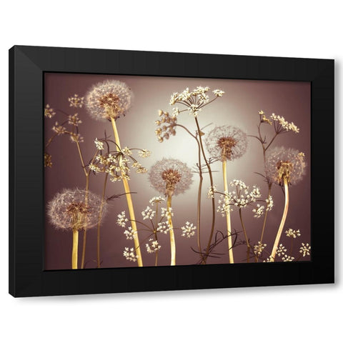 Meadow flowers Black Modern Wood Framed Art Print by Frank, Assaf
