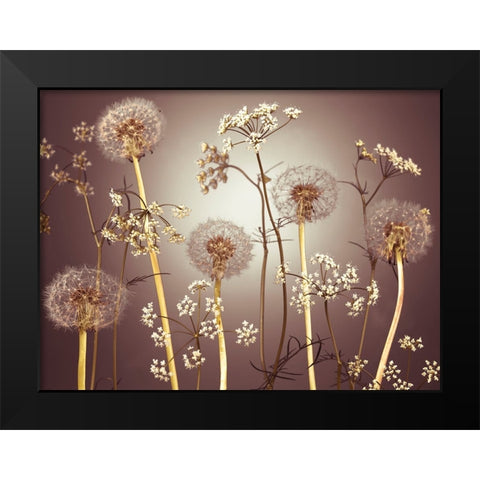 Meadow flowers Black Modern Wood Framed Art Print by Frank, Assaf